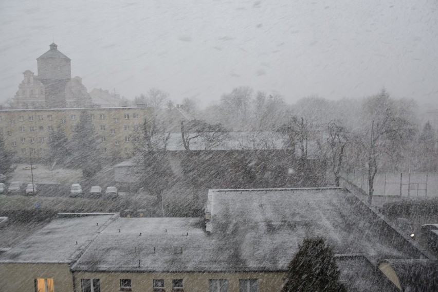 Burza śnieżna pod Wrocławiem. W kilka minut zrobiło się biało