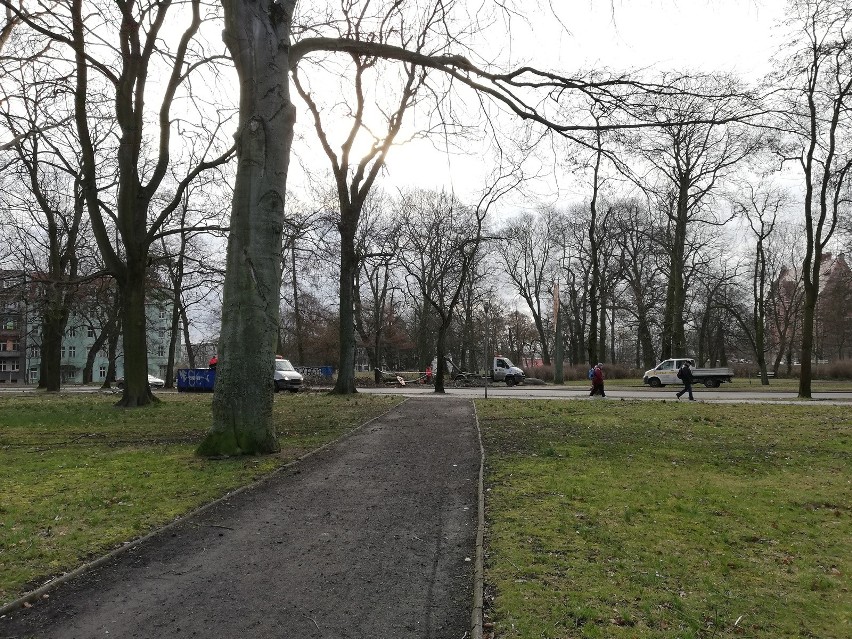 Park Żeromskiego po wichurze