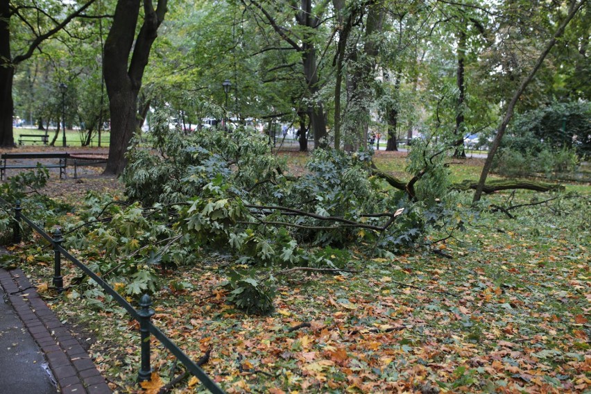 Orkan Ksawery w Krakowie. Wielkie sprzątanie na Plantach [ZDJĘCIA]