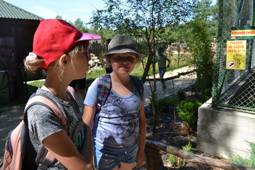 Dzieci z gminy Tuczępy rozpoczęły wakacje wycieczką do zoo. Zdjęcia