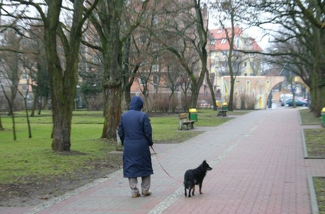 Spacer z psem w Parku Kultury i Wypoczynku.