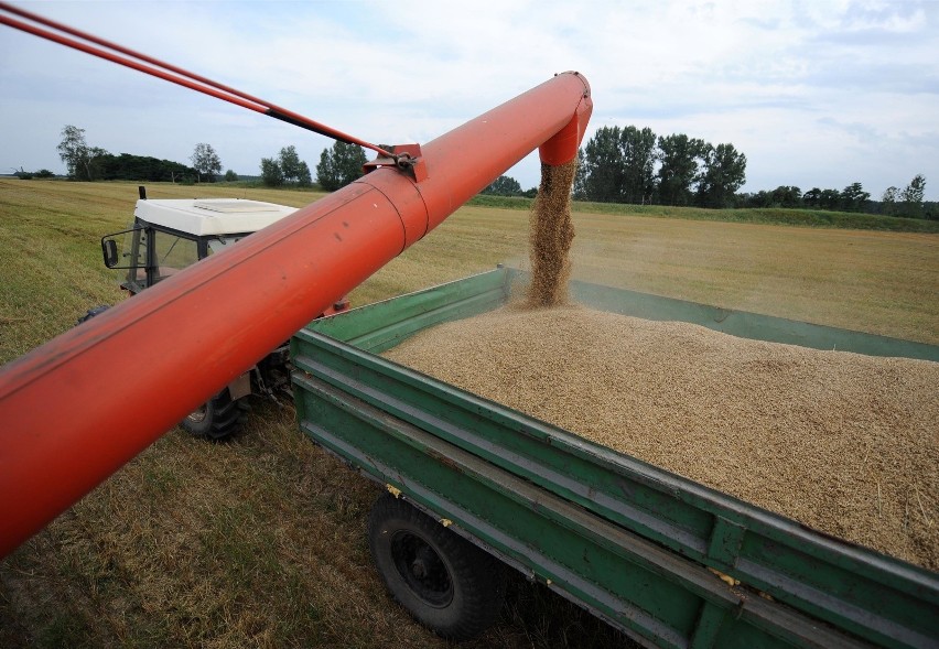 Najniższą cenę żyta odnotowano w woj. małopolskim - 59,94...