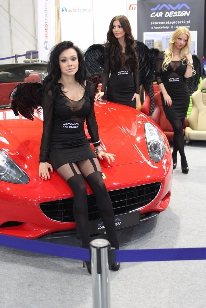 Motor Show Poznań 2014: Nie tylko samochody, ale też piękne...