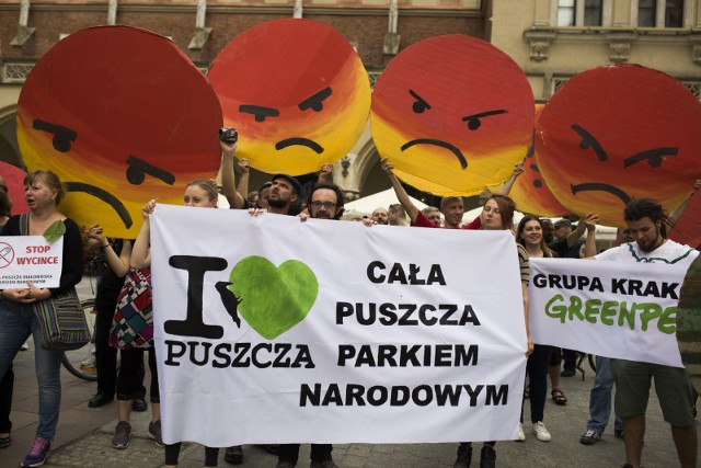 Protesty ekologów podczas wycinki w Puszczy Białowieskiej