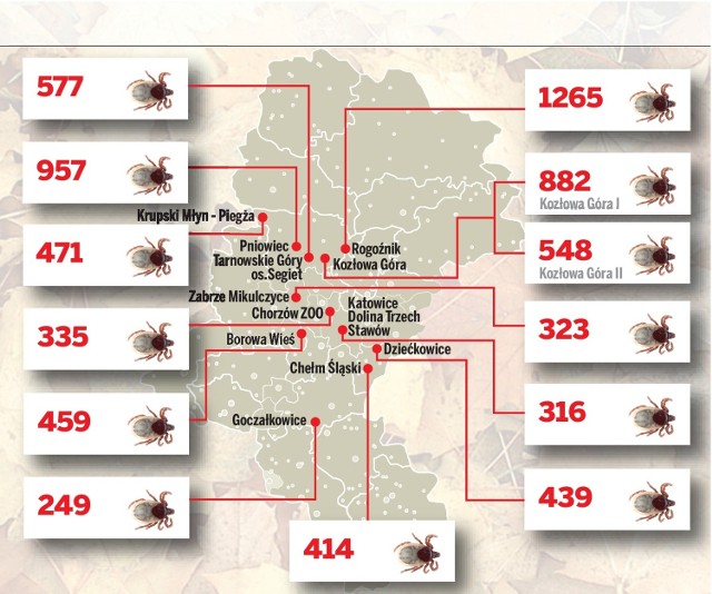 W 2011 roku zespół pod kierownictwem dr. Krzysztofa Solarza ze ŚUM schwytał ponad 23 tys. kleszczy. Badanie było przeprowadzane w 5 południowych województwach w miejscach rekreacji i turystyki. Na tej podstawie udało się stworzyć mapę największego zagęszczenia kleszczy w województwie śląskim.