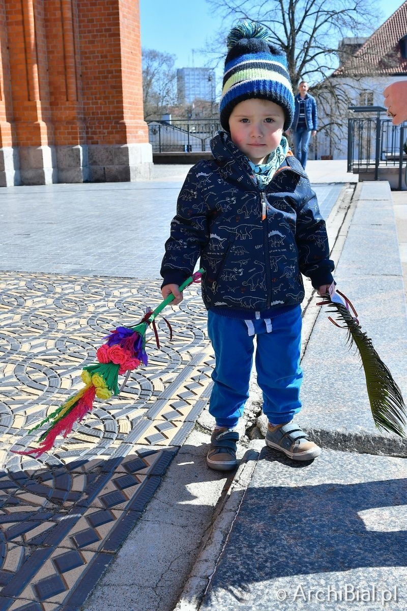 Białystok. Wierni kościoła katolickiego obchodzą niedzielę palmową. Tysiące wiernych uczestniczyło w nabożeństwie w Archikatedrze [ZDJĘCIA]