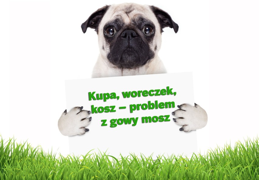 Kupa, woreczek, kosz – problem z gowy mosz