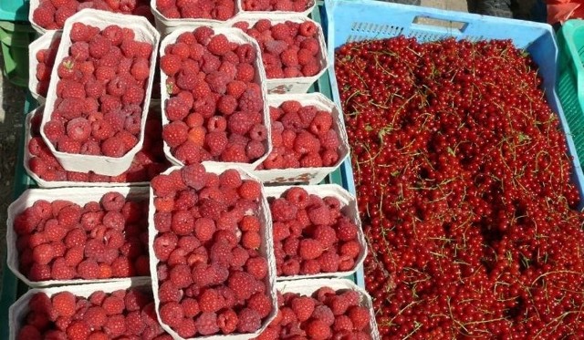 Ceny owoców w skupie są w tym roku wyjątkowo niskie