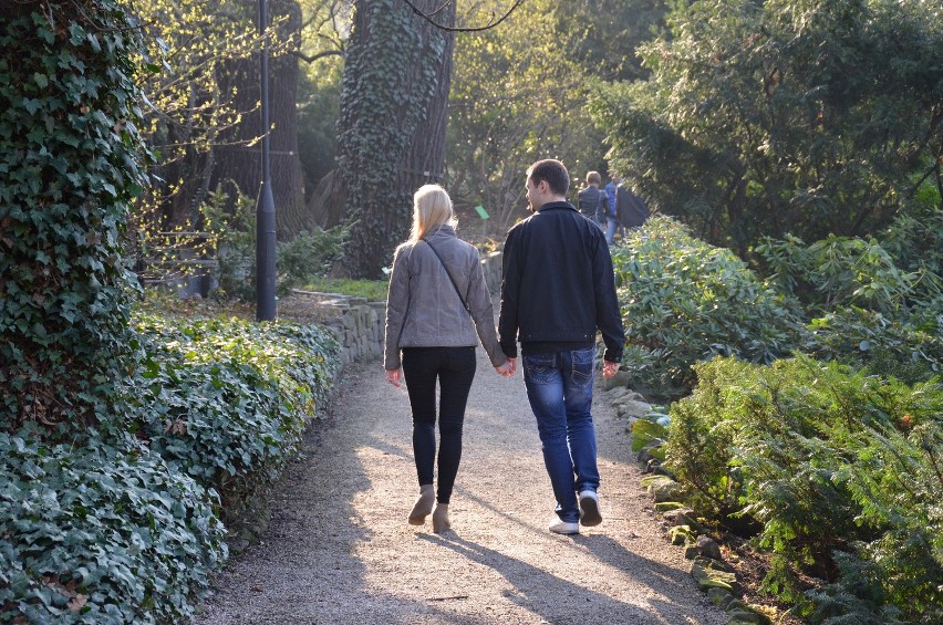 Wrocław: Zamykają ogród botaniczny. Ostatni weekend zwiedzania (CENY, GODZINY OTWARCIA)