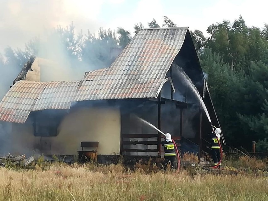 Pożar domków letniskowych i lasu na Dolnym Śląsku (ZDJĘCIA)