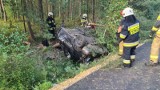 Tragiczny wypadek na drodze leśnej między Kielczą i Żędowicami. Nie żyje 18-letnia dziewczyna