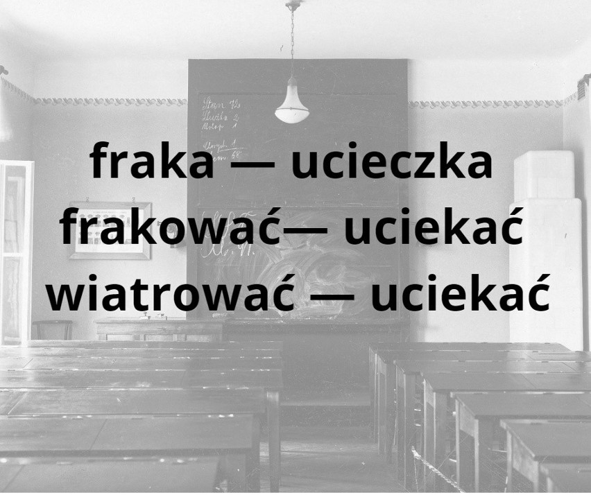 Gwara uczniowska w Lublinie. Tak mówiła młodzież w latach 30. Znasz te słowa? (część II)