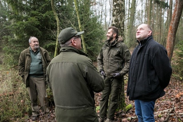 Świąteczne drzewko, które stanie przed Urzędem Marszałkowski, wybrał marszałek Piotr Całbecki