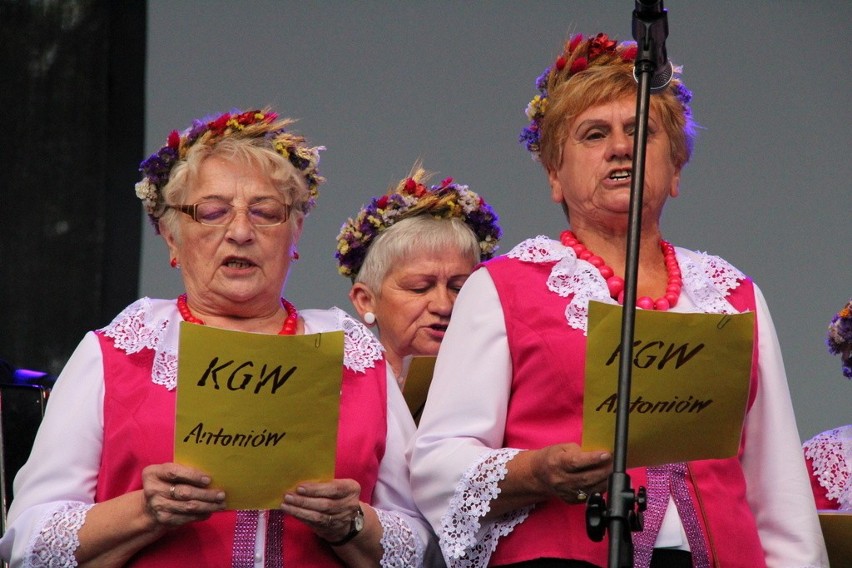 Miejskie dożynki odbywają się w niedzielę w Dąbrowie...