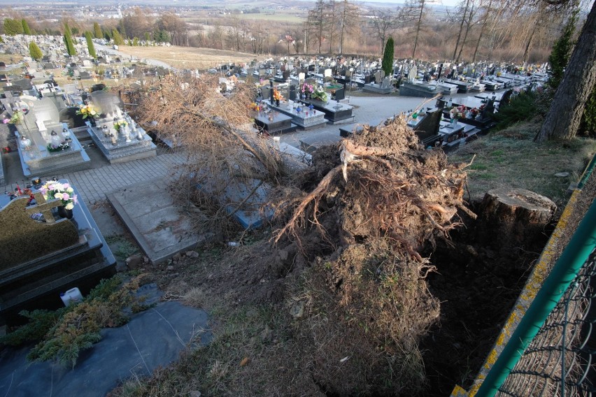 W wyniku wichury, która przeszła nad Przemyślem, na...