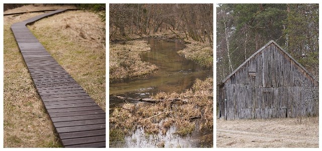 Zapraszamy do aktywności. Pięć kilometrów przyjemnej wędrówki ścieżką przyrodniczą „Dolina Kulawy” (gmina Brusy, powiat chojnicki) na terenie Zaborskiego Parku Krajobrazowego.