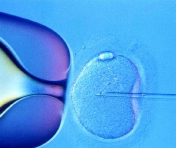 Ustawa o leczeniu niepodłości in vitro została przyjęta przez Sejm. Prezydent może ją zawetować