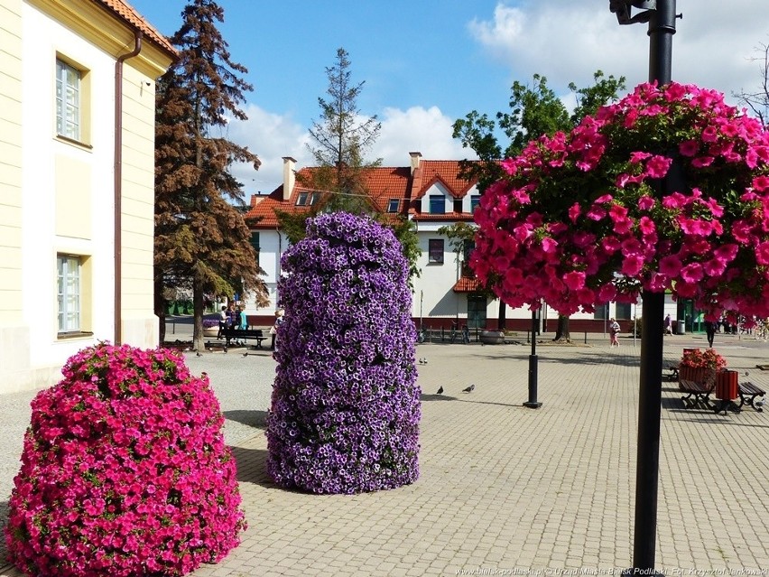 Zdjęcia kwiecistego Bielska Podlaskiego przygotowane na...