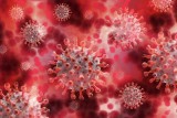 Koronawirus w Świętokrzyskiem. 8 nowych zakażeń i 2675 osób na kwarantannie w piątek, 25 czerwca. Zobacz, z jakich powiatów [LISTA]