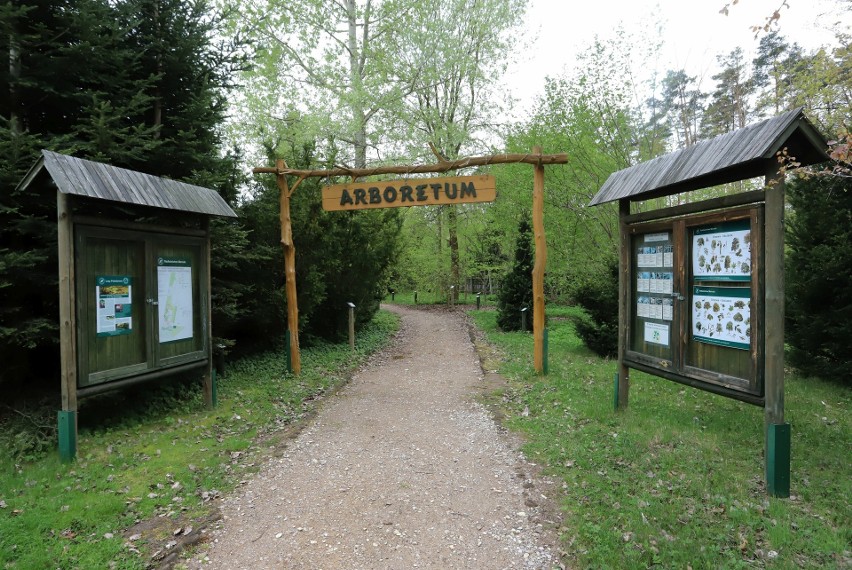 Kolorowy, wiosenny spacer po arboretum, pełnym kwiatów rozarium i alpinarium w Marculach koło Iłży. Zobaczcie zdjęcia