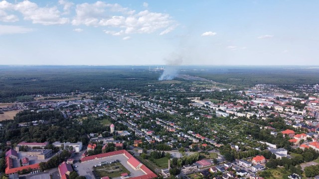 Płoną trawy i las w Tarnowskich Górach