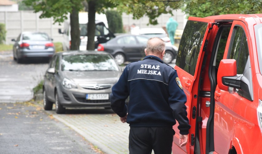 Masz jakiś problem, który chciałbyś zgłosić zielonogórskiej...