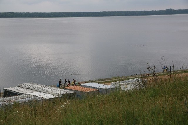 Martwe mewy znaleziono na przystani w Dobrzyniu nad Wisłą. Badania potwierdziły obecność wirusa ptasiej grypy H5N1.