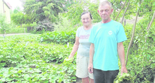 Roman Tatara z żoną Heleną i ich ogródek warzywny