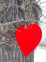 Okazali serce dla drzew, sprzeciwiają się wycince w Słońsku