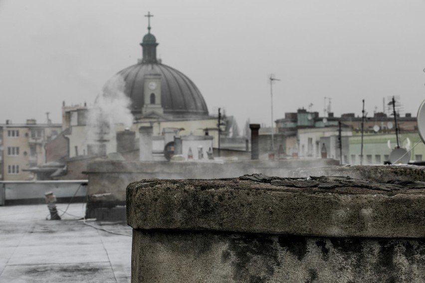 Z raportów służb ochrony środowiska wynika, że praktycznie w...