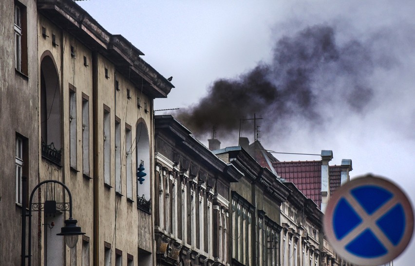 Z raportów służb ochrony środowiska wynika, że praktycznie w...