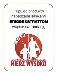 BRIGGS & STRATTON – poczuj MOC ORYGINAŁU