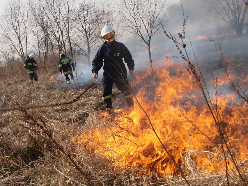 Pożar w Zatorze: płonęły hektary traw [ZDJĘCIA]