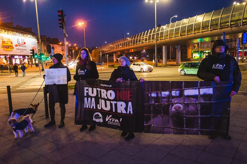 Akcja "Klatka po klatce" przed Galerią Bałtycką  w Gdańsku w...