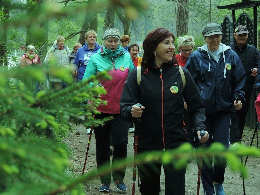 Amatorski Rajd Nordic Walking w Przyjezierzu [zdjęcia]