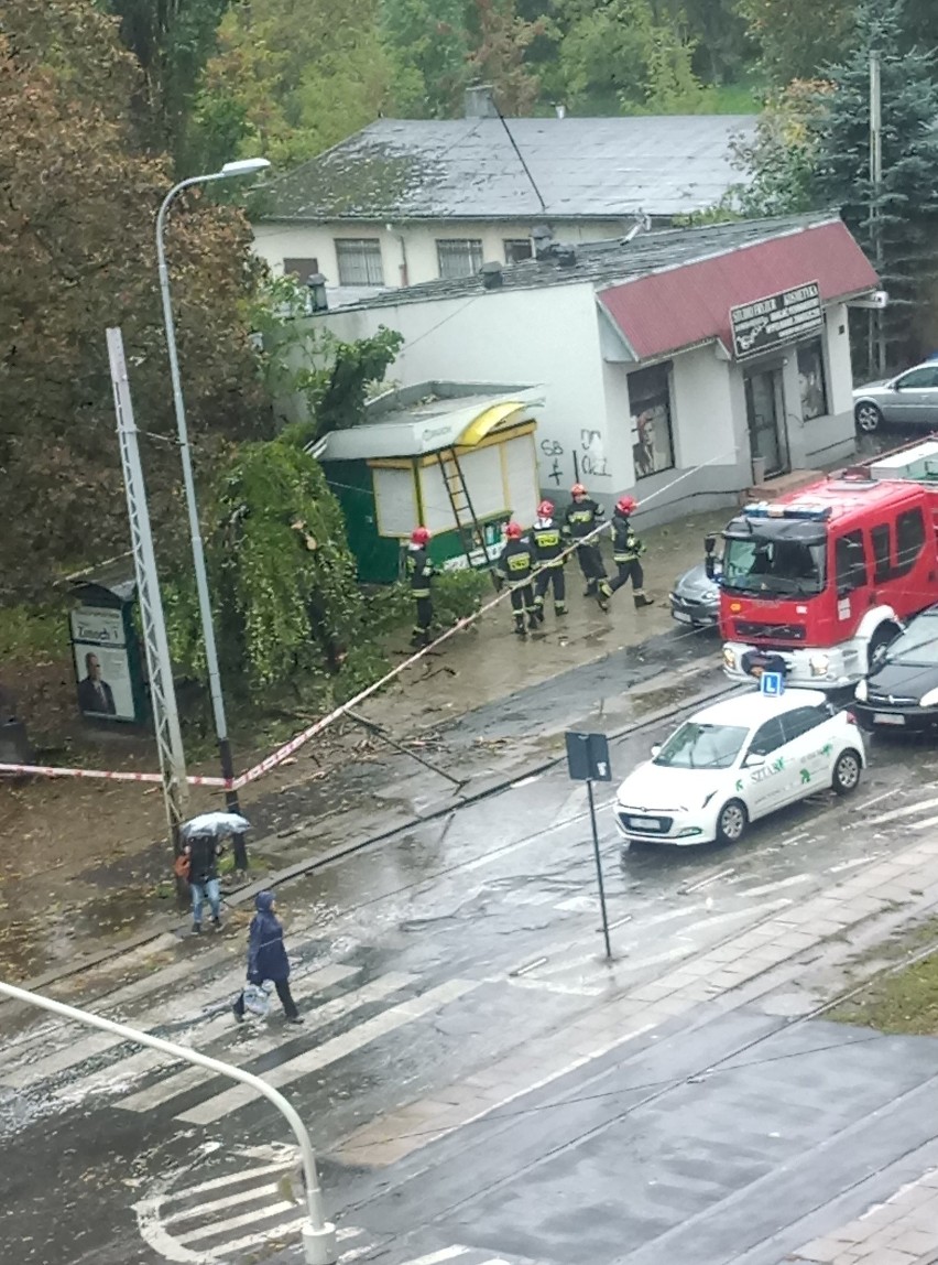 Mortimer zaatakował. Wichura szaleje w Łodzi i województwie. Pada deszcz. Drzewo runęło na przystanek. Uwaga na silny wiatr. Skutki wichury