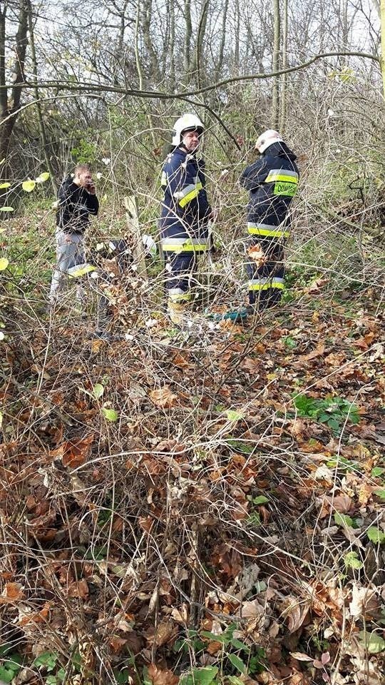 Strażacy z OSP Sieciechowice uratowali kobietę z 11-metrowej...