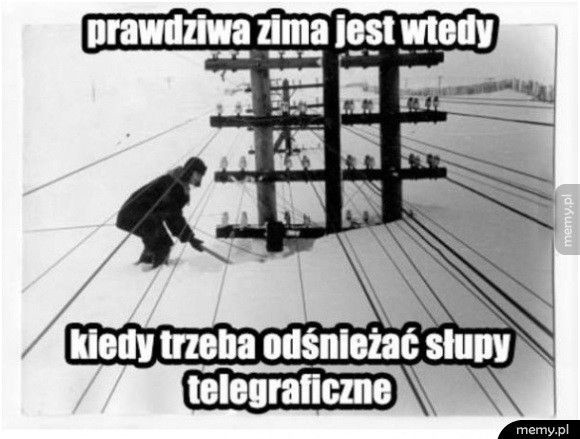 Zima daje się we znaki. Zobacz najlepsze zimowe memy, czyli śmieszne obrazki i zdjęcia.