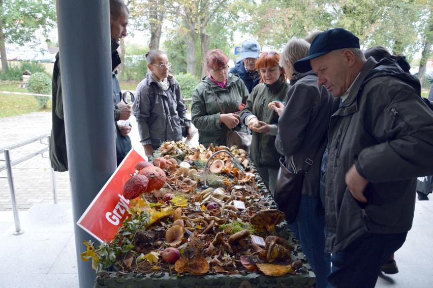 Wystawa grzybów w Parku Krajobrazowym Dolina Słupi.