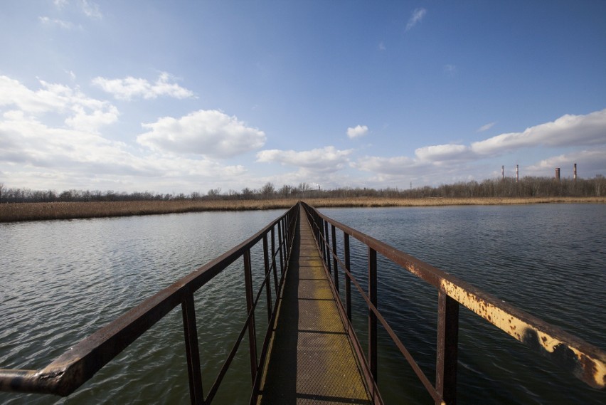 Pustka w kolorze rdzy, czyli nowohucki kombinat jak wymarłe miasto [ZDJĘCIA]