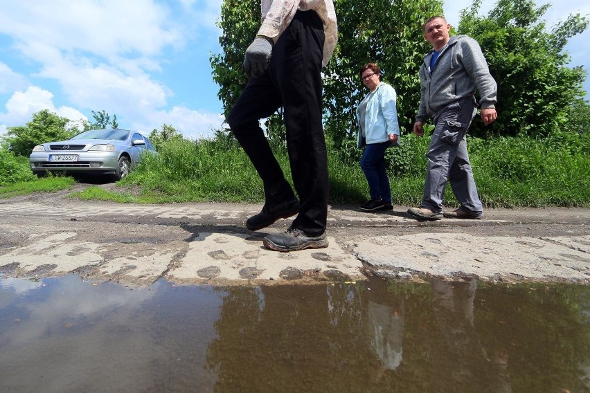 Deszczówkę można łapać i wykorzystywać w ogrodzie