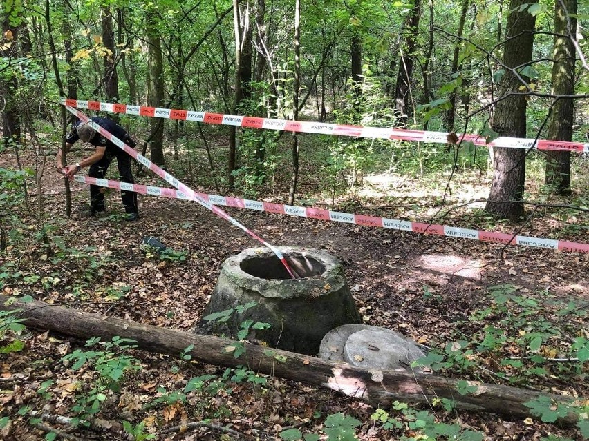 Spacerowicz poczekał na przyjazd strażników przy...