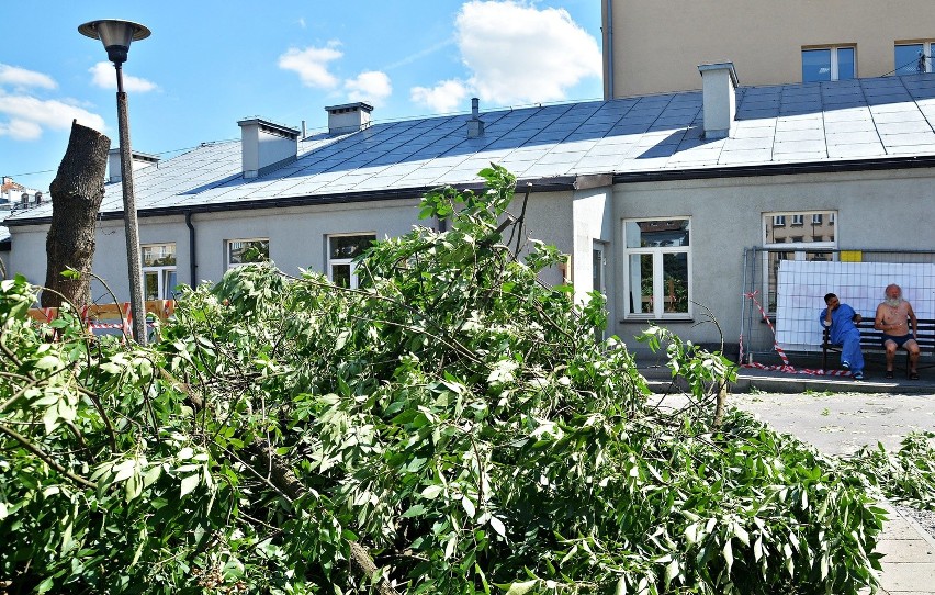 Wycinka drzew w centrum Lublina. Przy ul. Radziwiłłowskiej powstanie budynek szpitalny