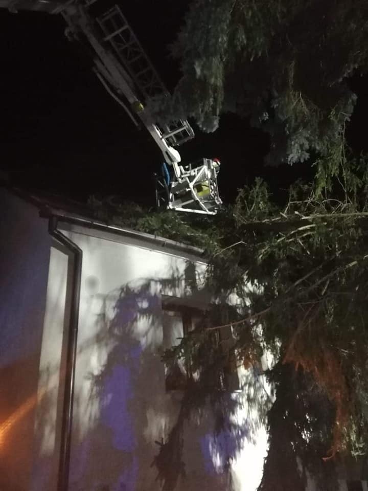 Silny wiatr przewrócił drzewo na dom jednorodzinny w Przeworsku [ZDJĘCIA]