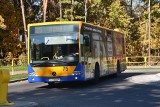 Uwaga! Zmiany w kursowaniu autobusów komunikacji miejskiej w święta i Sylwestra