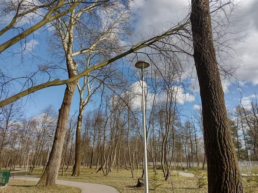 Powiat myślenicki. Ciągle wieje. Strażacy podjęli już ponad 20 interwencji 