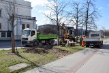 Zmiany w centrum Kielc. Powstaną nowe przystanki (ZDJĘCIA) 