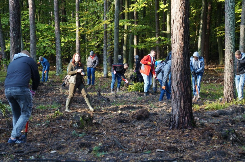 Uczniowie z Przysuchy mieli lekcję ekologii i sadzili las