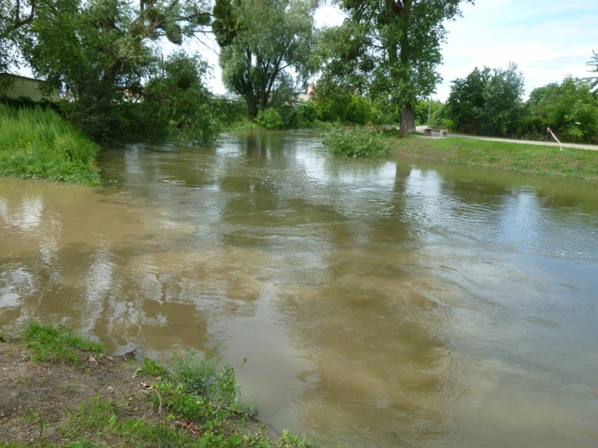 Wysoki poziom wody w Raduni