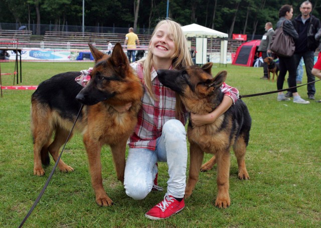 Wystawa psów rasowych odbyła się w miniony weekend w Szczecinie.